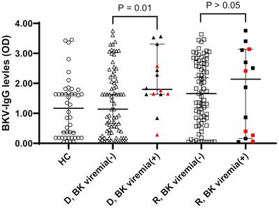 Pretransplant BKV-IgG serostatus and BKV-specific ELISPOT assays to predict BKV infection after kidney transplantation